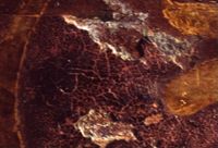 di080576