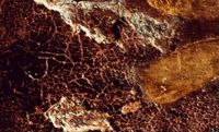 di080577
