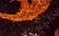 di080578