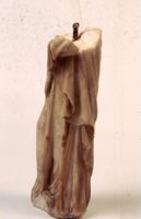 di081556