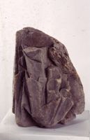 di081869